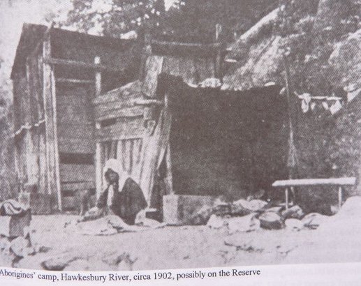 Sackville reserve, 1900's